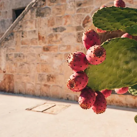 Vila Helloapulia - Aria - Scenic Escape, Pet Friendly *